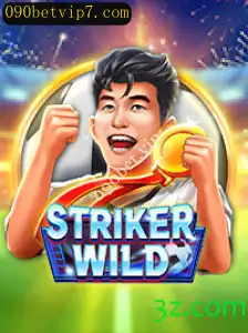 Explorando o Universo de StrikerWILD: Um Guia Completo